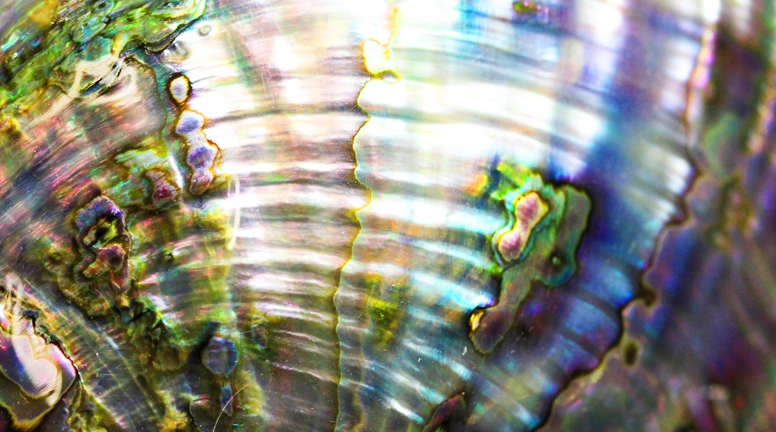 Constant-evolution_776-by-432 Constant-evolution_776-by-432