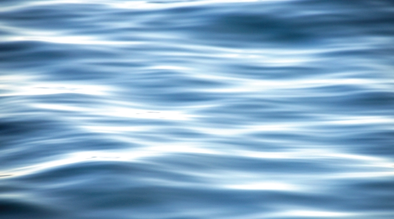 Graceful-leadership_776-x-432 Graceful-leadership_776-x-432